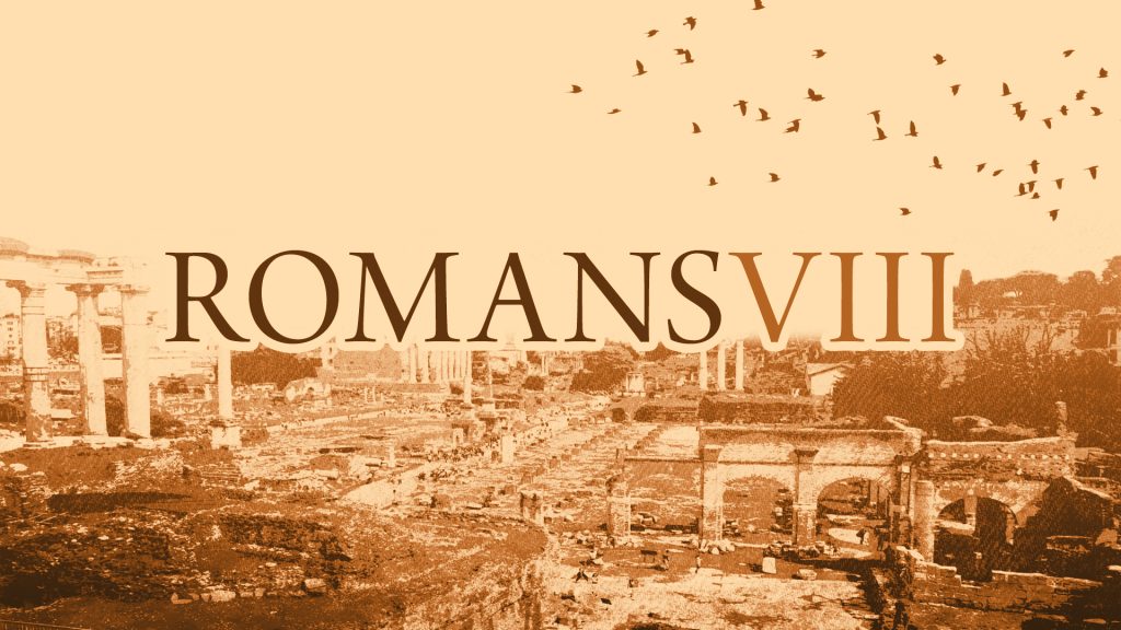 Romans VIII